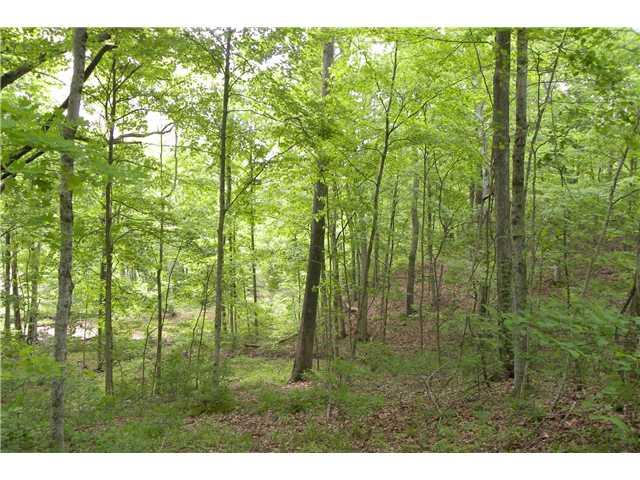 7425 Mt Nebo Road Columbus, IN 47201 - Photo 3 of 7