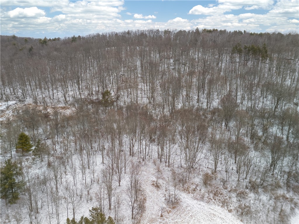 350 California Road Westfield, PA 16950 - Photo 28 of 36