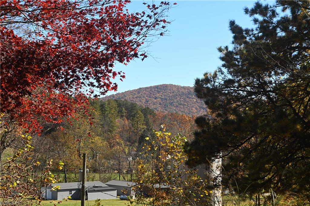11491 Sparta Road McGrady, NC 28649 - Photo 3 of 20
