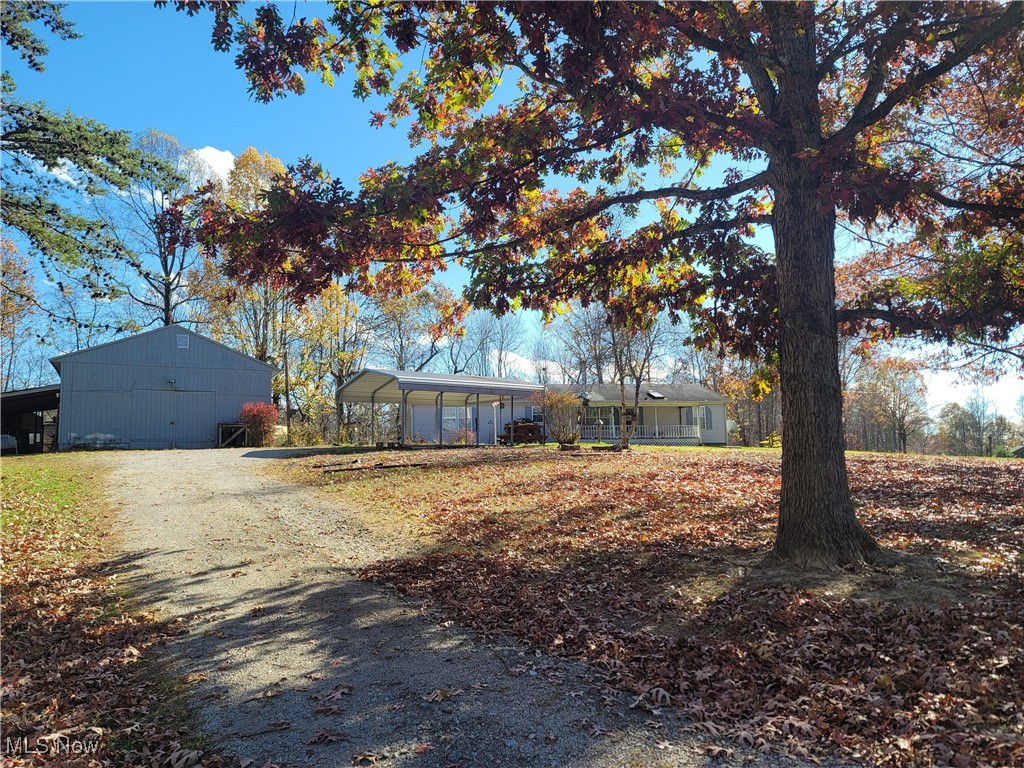 118 Middle Ridge Lane Waverly, WV 26184 - Photo 3 of 48 GRAVELED DRIVE LINED WITH GRAND TREES