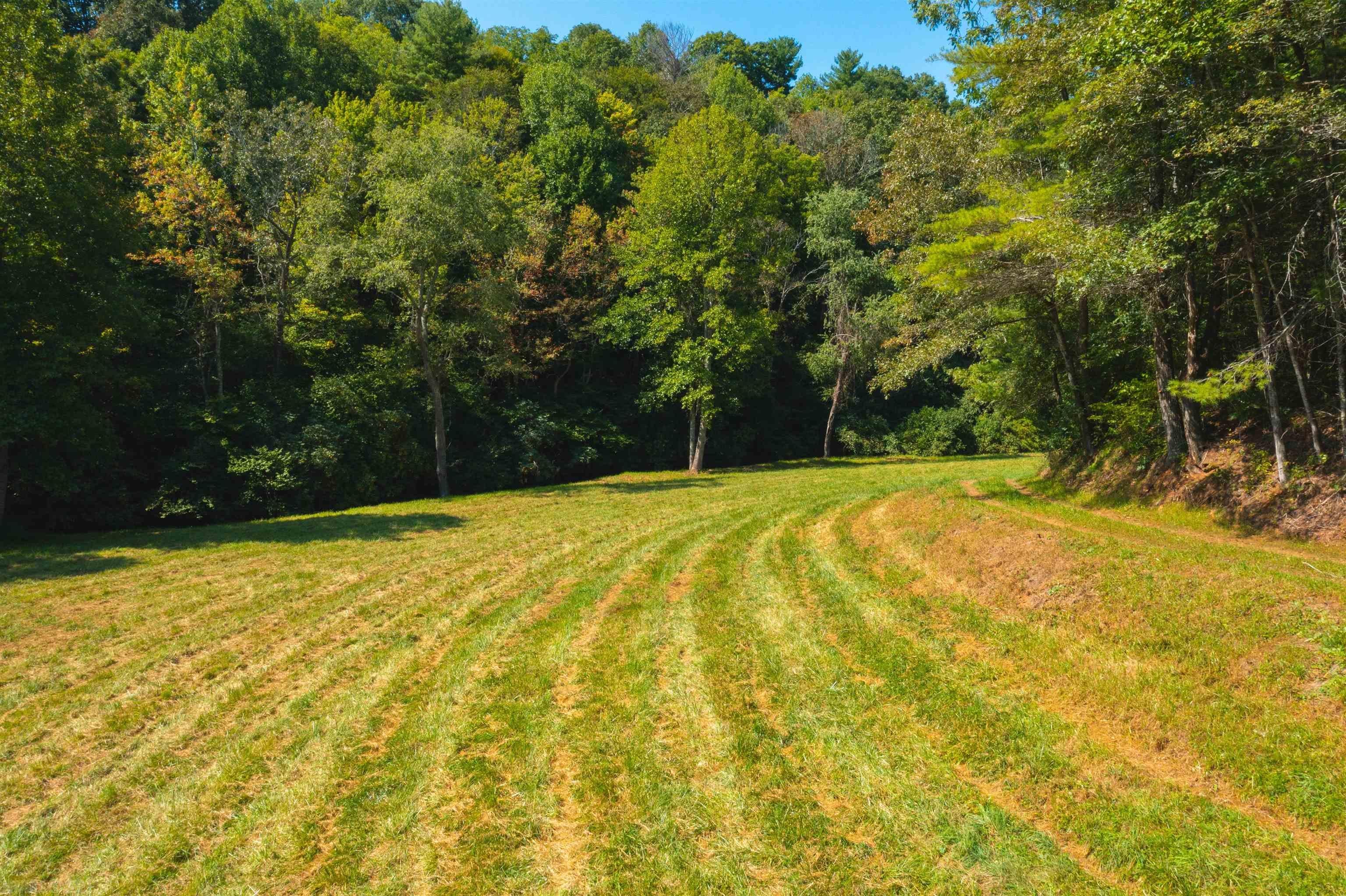 Tbd Beaver Creek Road Northwest Floyd, VA 24091 - Photo 19 of 34 Gallery Image 19