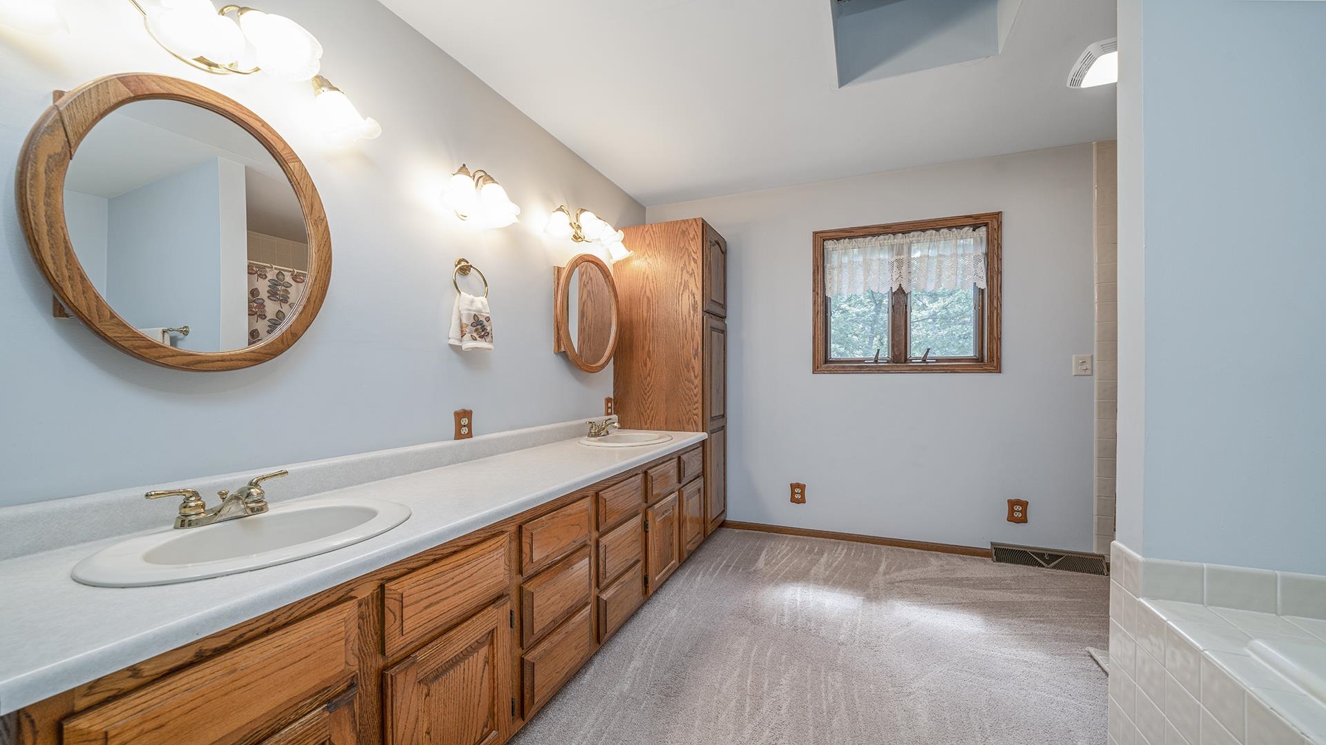 5221 West Edgewood Road Dixon, IL 61021 - Photo 23 of 43 a bathroom with a sink and a mirror