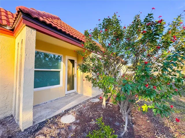 a view of a back yard of the house