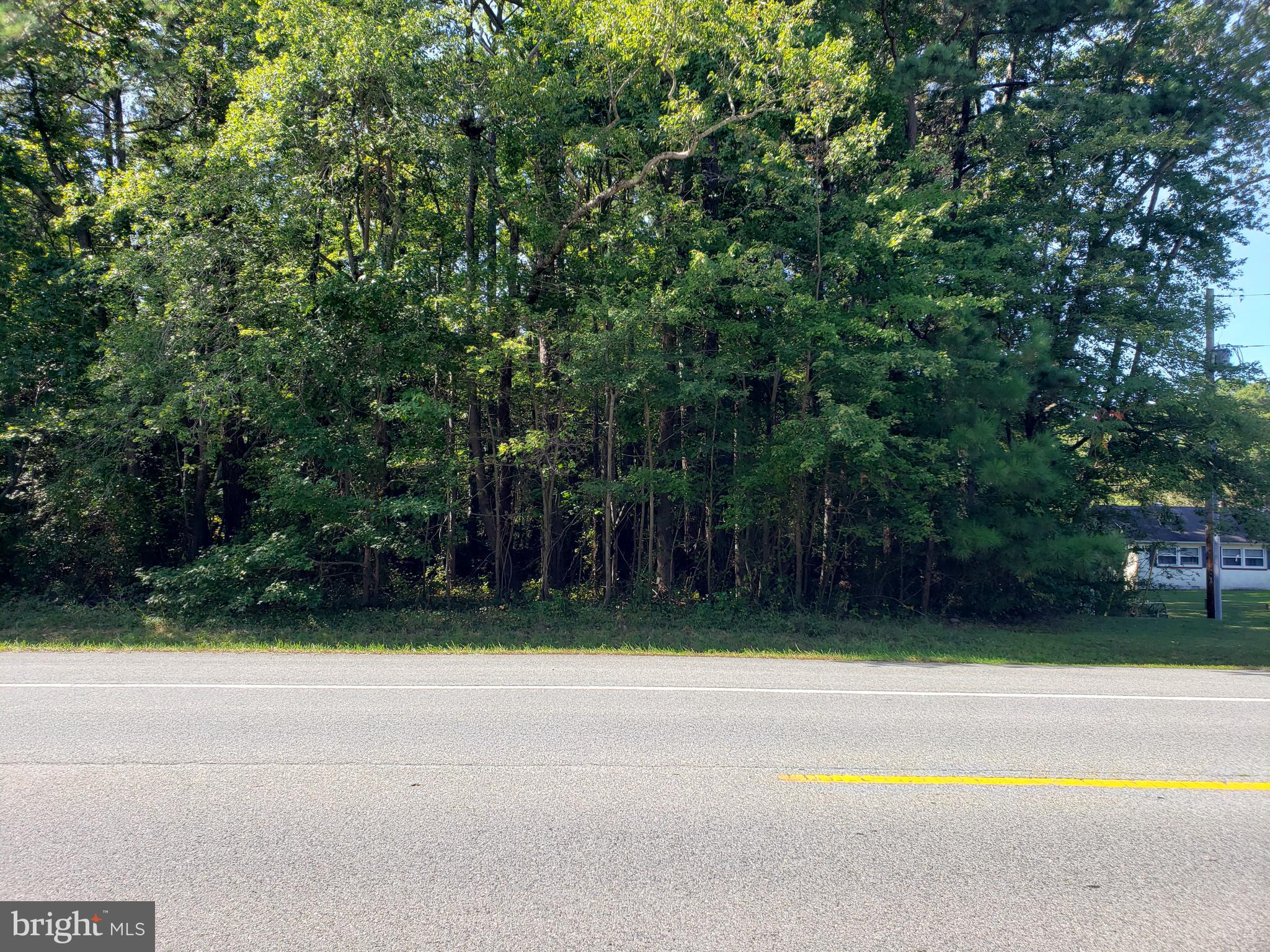 3 Notch Dameron, MD 20628 - Photo 1 of 3 Road View