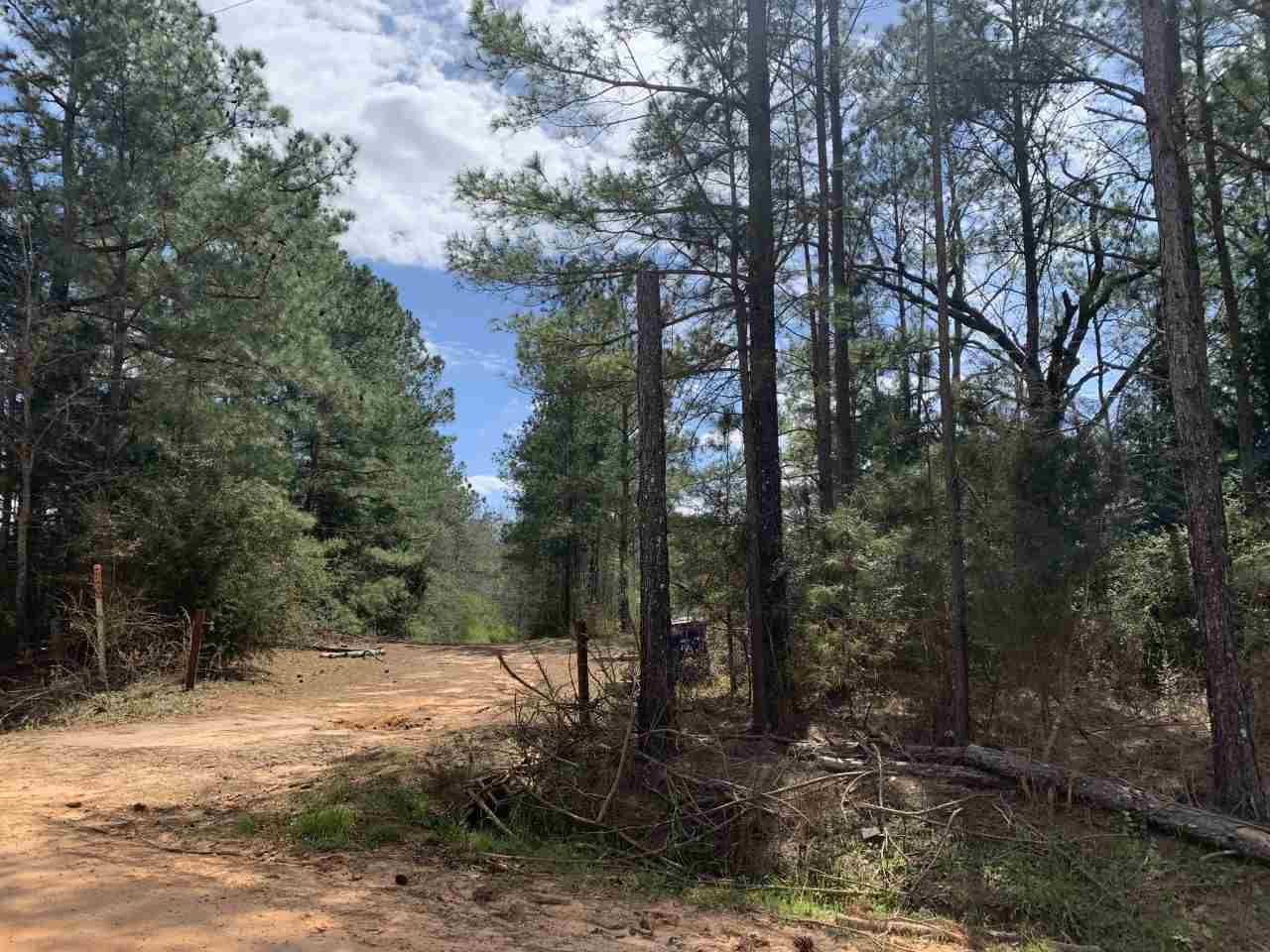 26726 Union Grove Road Opp, AL 36467 - Photo 1 of 3 Gallery Image 1