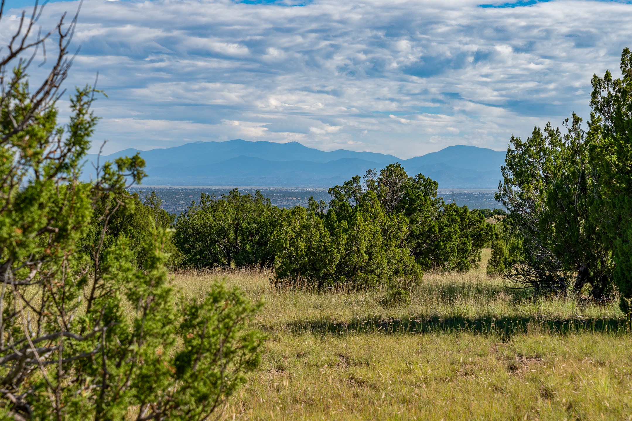 95 Grenfell Ranch Road Cerrillos, NM 87010 - Photo 5 of 47