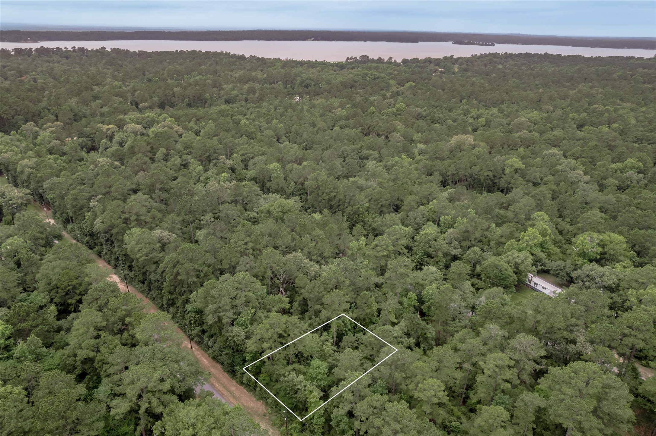 Lot 08 Oak Drive Trinity, TX 75862 - Photo 2 of 32