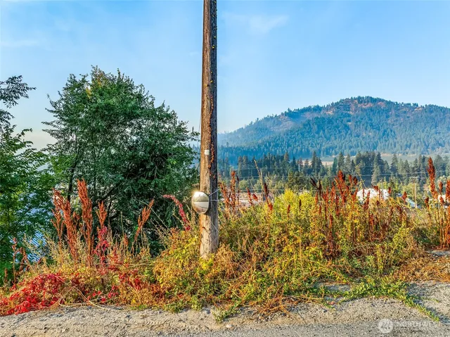 a view of a lake with a mountain in the background