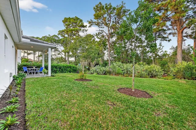 a view of a backyard with palm trees
