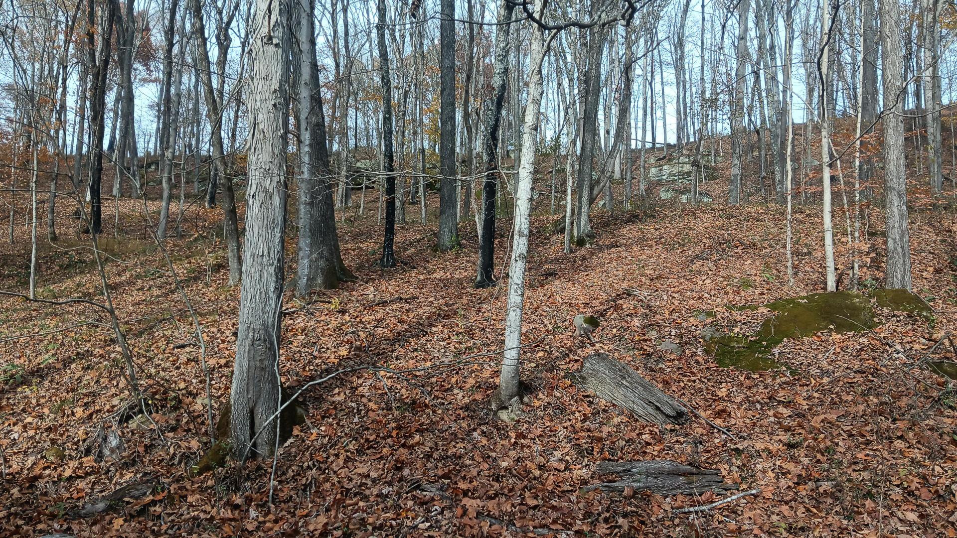 0 Keystone Road, Unit CREEKVIEW CABIN) Vinton, OH 45686 - Photo 11 of 95 CT-11