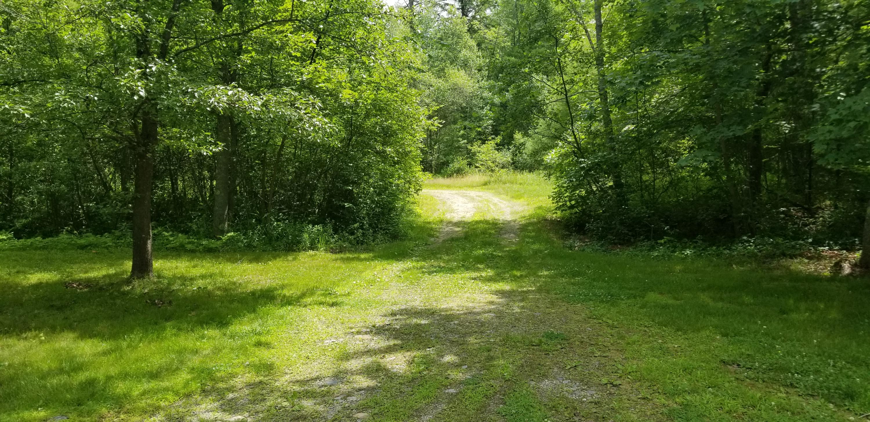 67 Back Road Shapleigh, ME 04076 - Photo 24 of 24 20200713_121230