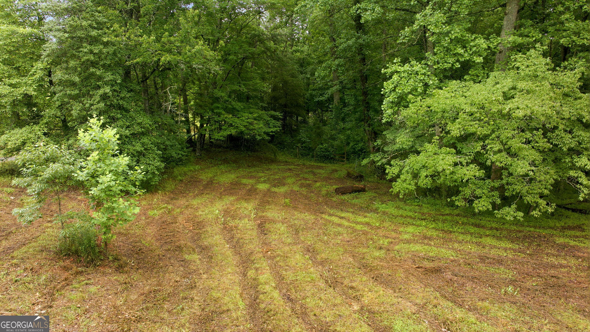 2218 J J Warren Road Cornelia, GA 30531 - Photo 40 of 58