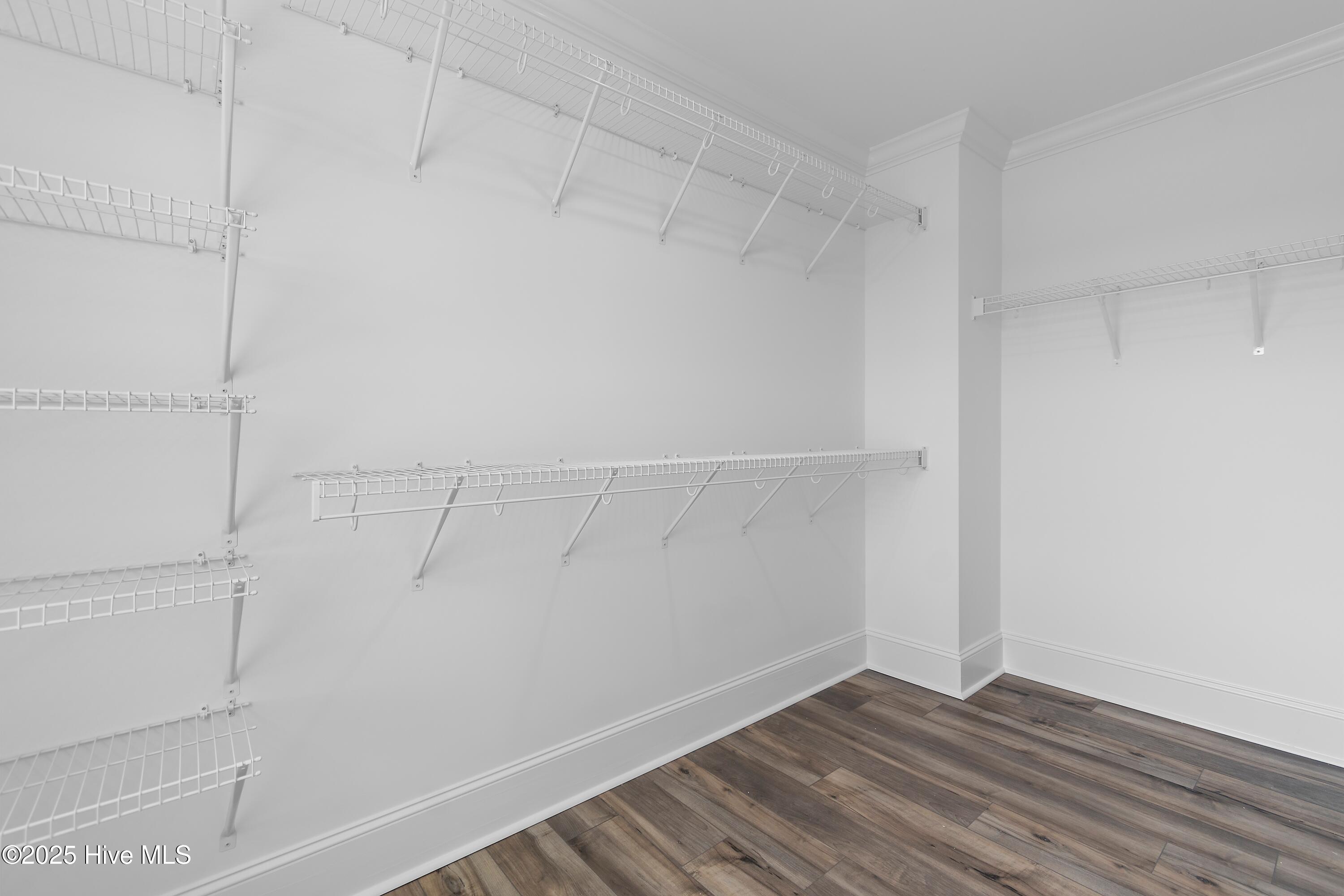 244 Planters Walk Hampstead, NC 28443 - Photo 49 of 86 Primary Walk in Closet 1 on Second Floor