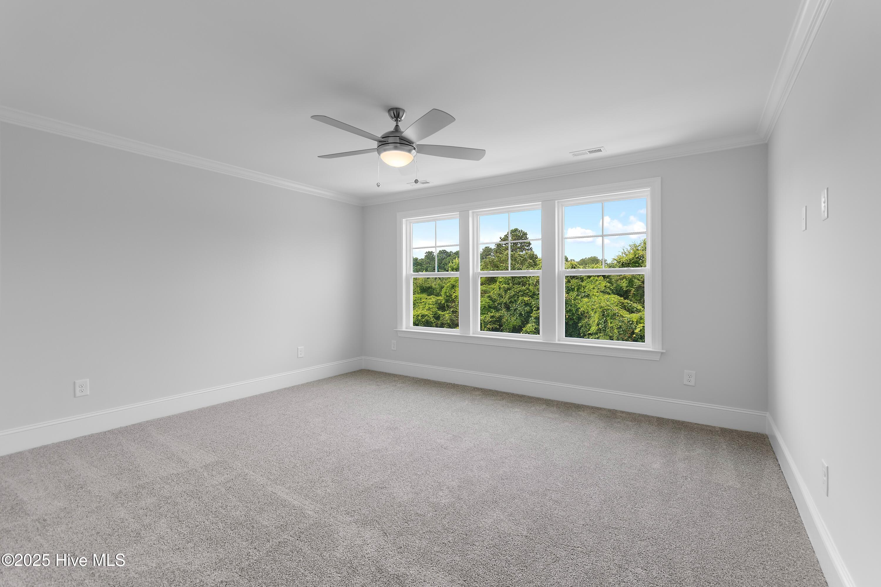 244 Planters Walk Hampstead, NC 28443 - Photo 54 of 86 Bedroom 2 / Optional Bonus Room on Second Floor