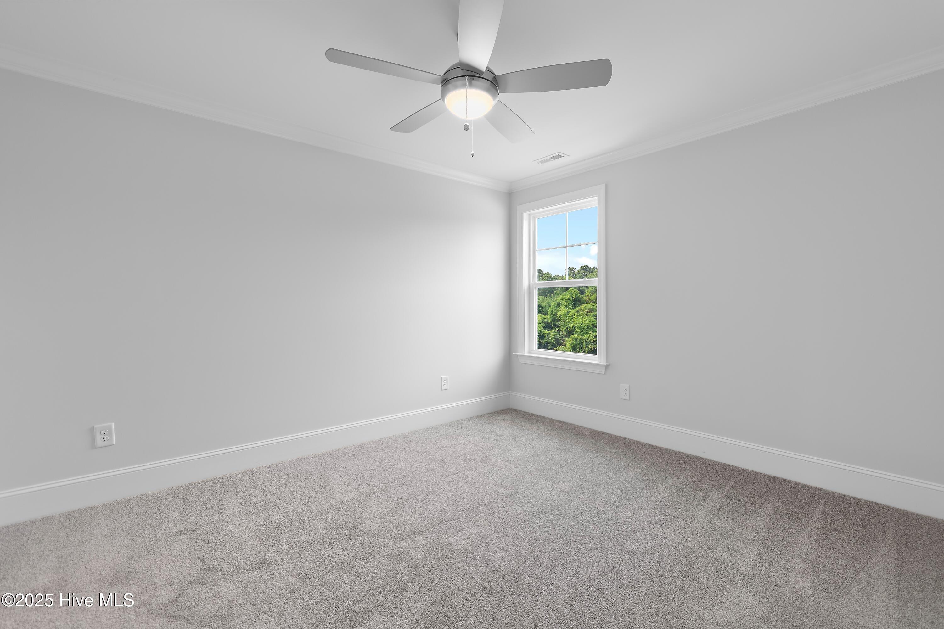 244 Planters Walk Hampstead, NC 28443 - Photo 59 of 86 Bedroom 3 on Second Floor