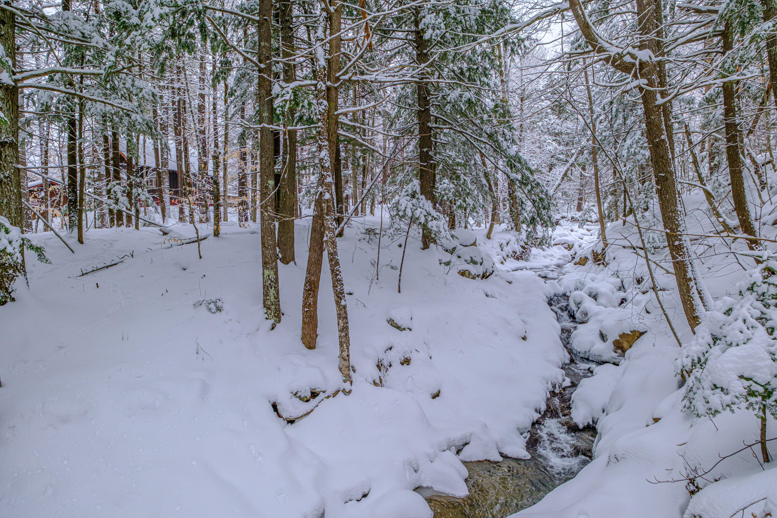 45 Viking Village Road Newry, ME 04261 - Photo 55 of 65