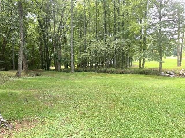 253 Puckett Creek Road Canton, GA 30114 - Photo 1 of 1
