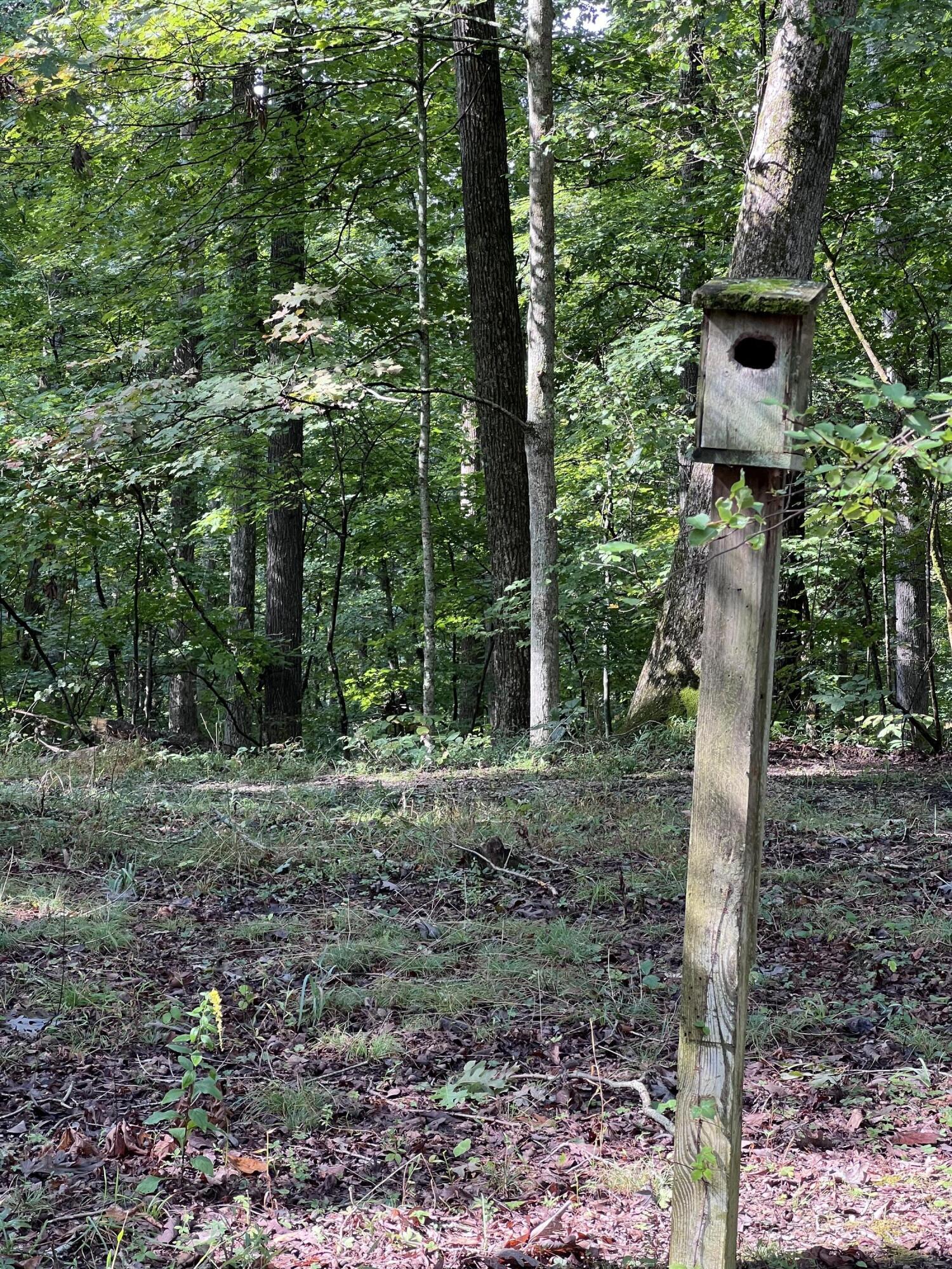 3859 Watson Ridge Road Ravenna, KY 40472 - Photo 17 of 35 IMG_1521