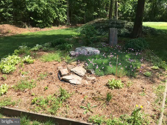 21095 Tanyard Road Preston, MD 21655 - Photo 20 of 30 Raised Garden