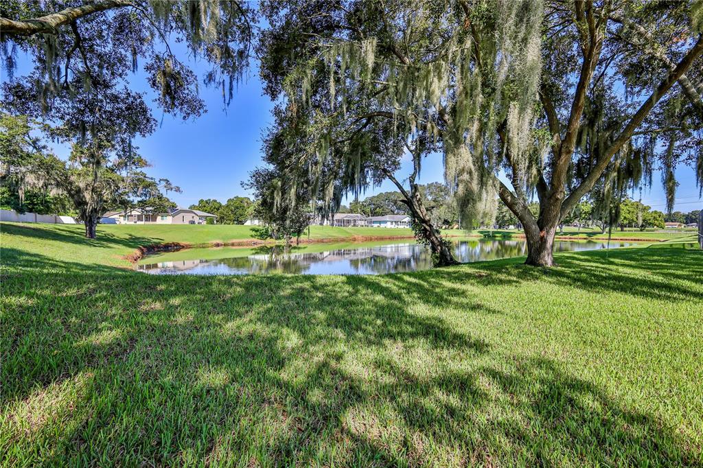 7205 Julian Street New Port Richey, FL 34653 - Photo 5 of 31 Gallery Image 5