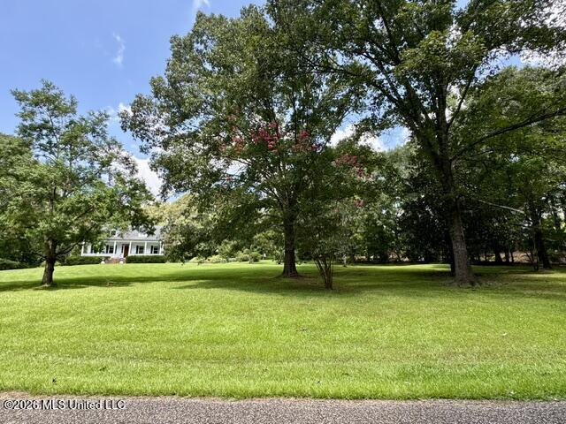 481 Greenfield Road Natchez, MS 39120 - Photo 4 of 52 Driveway view 2