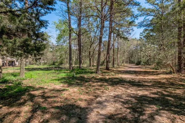 a view of backyard with green space