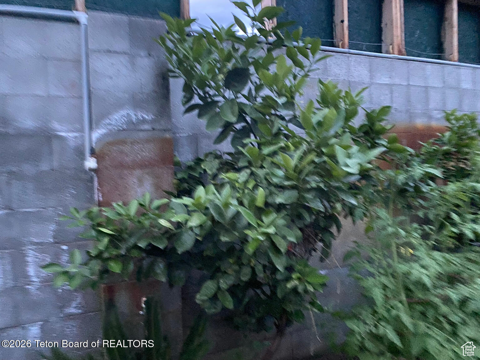 95 Auburn-Forest Road Auburn, WY 83111 - Photo 56 of 128 47