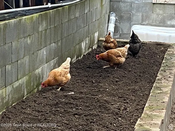 $6,295,000 | 95 Auburn-Forest Road, Auburn, WY 83111