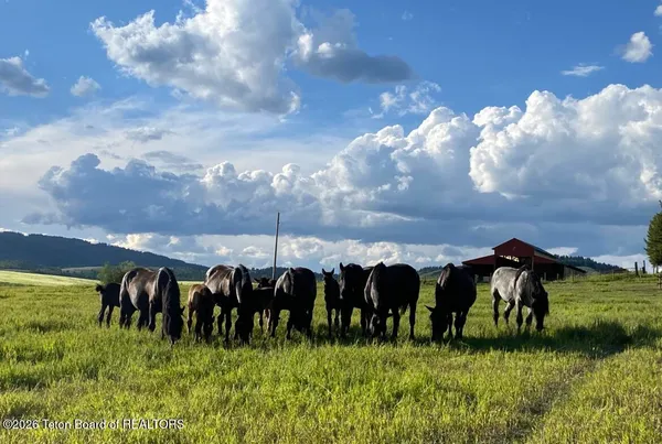 $6,295,000 | 95 Auburn-Forest Road, Auburn, WY 83111