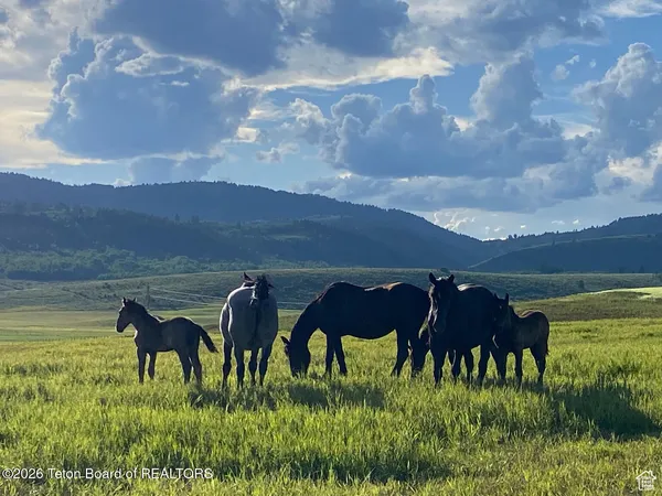 $6,295,000 | 95 Auburn-Forest Road, Auburn, WY 83111