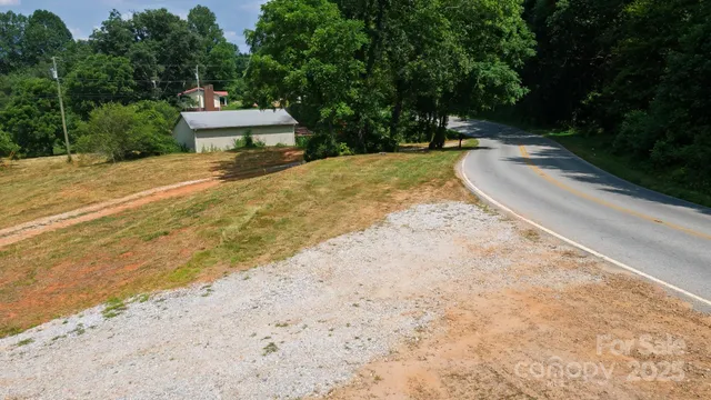 a view of a backyard with a fountain plants and large trees