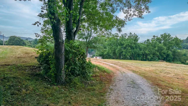 a view of a yard with large trees