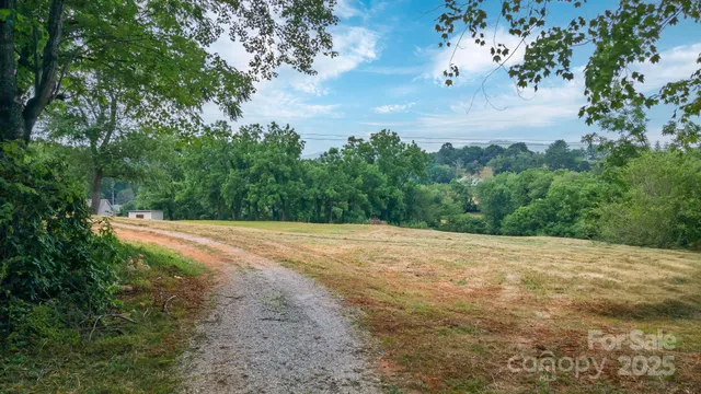 a view of a garden with trees
