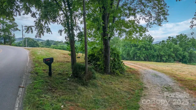 a view of a yard with plants