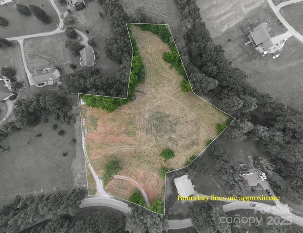 a view of a yard with plants