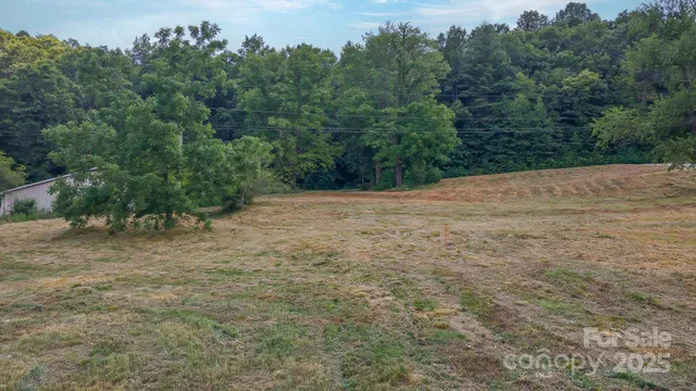 a view of a yard with a tree