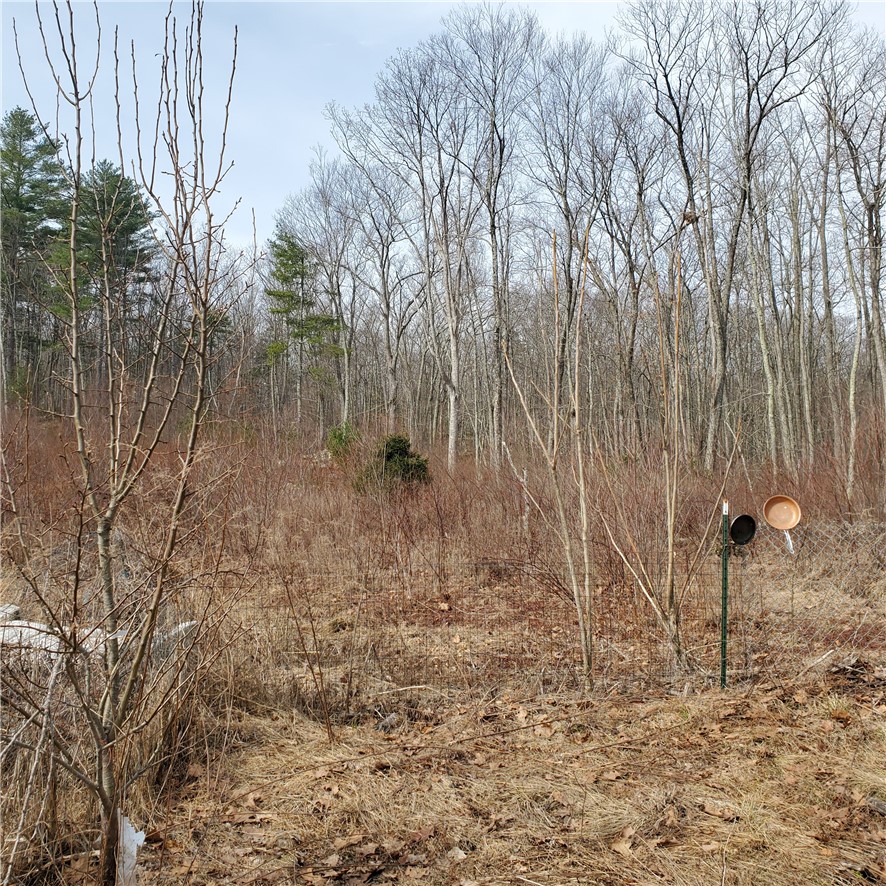 121 Dexter Lane Scituate, RI 02857 - Photo 5 of 12
