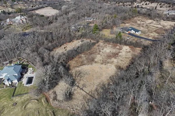 a view of a dry yard with trees