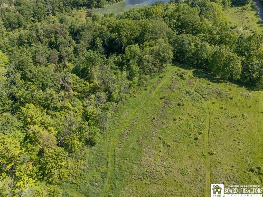 5320 Ellicott Road Pomfret, NY 14716 - Photo 48 of 49