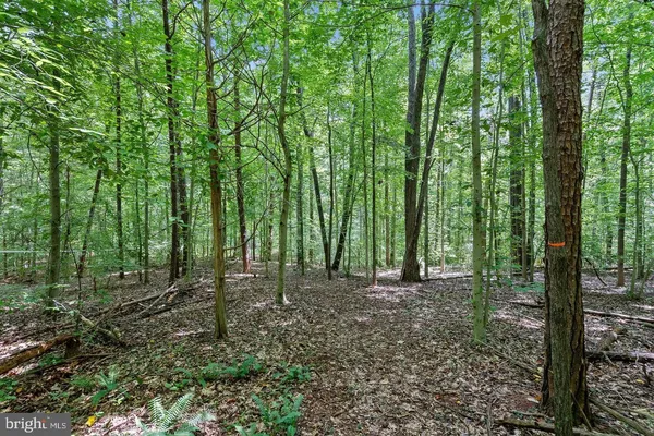 $490,000 | 9671 Marlette Drive, Nokesville, VA 20181