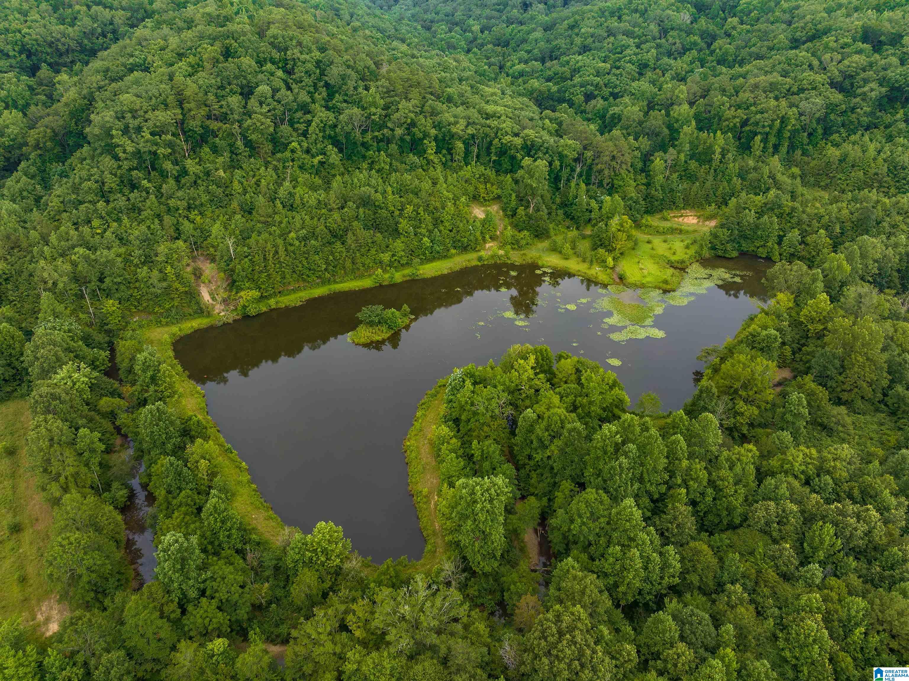 81 Frozen Hollow Road, Unit 32 Carbon Hill, AL 35549 - Photo 14 of 42