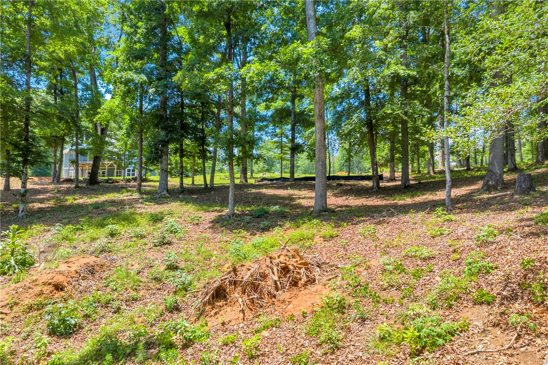 Lot 60 Harbor Point Seneca, SC 29672 - Photo 24 of 30 Mature trees and lush undergrowth define this tranquil, undeveloped lot, offering a private, wooded setting.