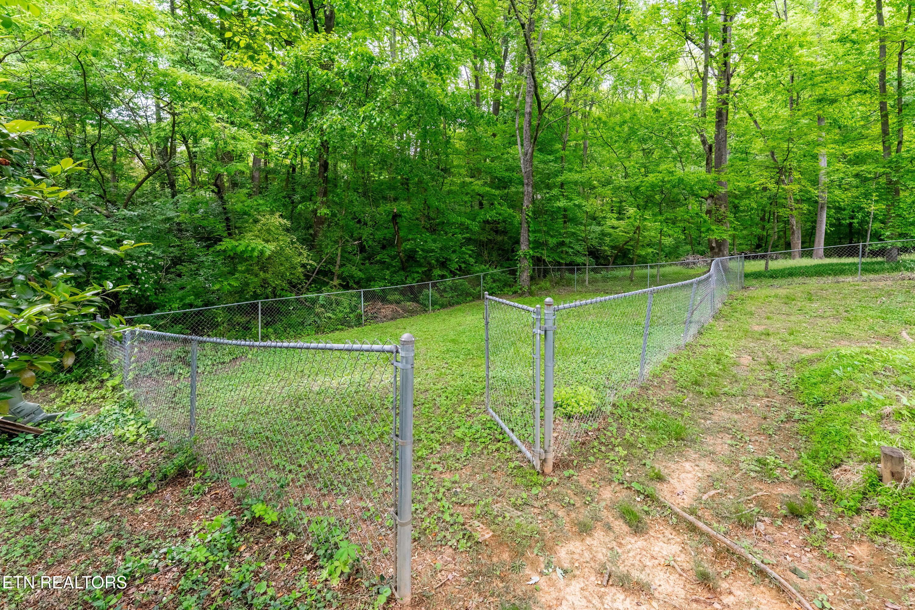 105 Tidewater Lane Oak Ridge, TN 37830 - Photo 9 of 40 _DSC1528-HDR-Edit