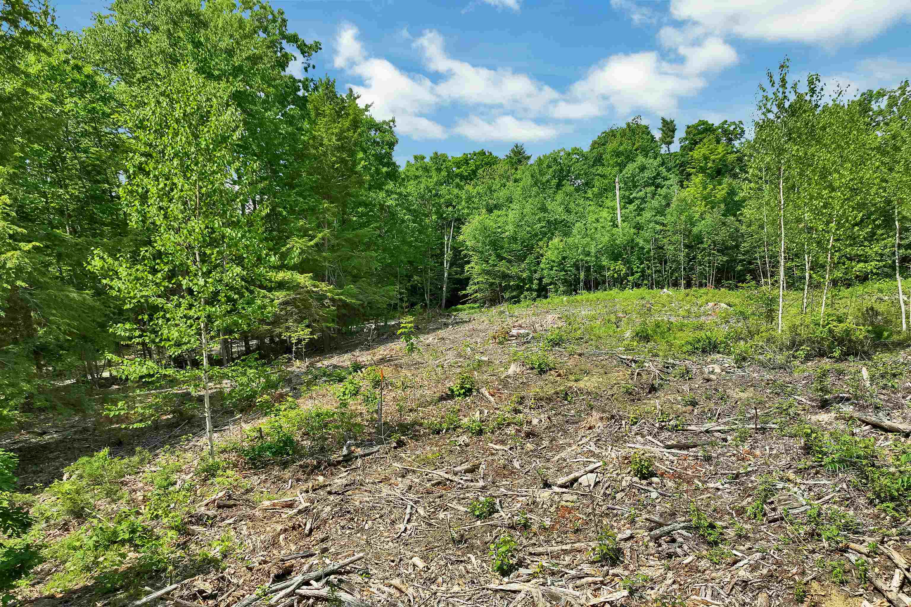 40 Lowden Road Barnstead, NH 03225 - Photo 8 of 34