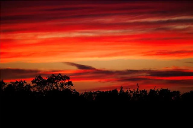 $637,000 | Tbd Southwest Tbd Sw 101st Road, Chilhowee, MO 64733