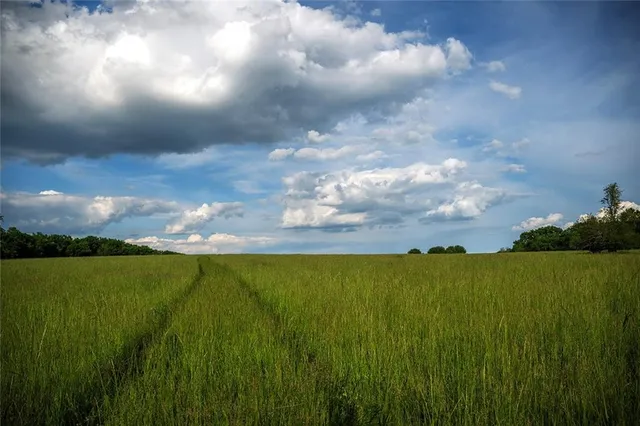 $637,000 | Tbd Southwest Tbd Sw 101st Road, Chilhowee, MO 64733