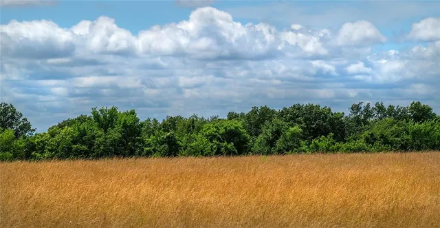 $637,000 | Tbd Southwest Tbd Sw 101st Road, Chilhowee, MO 64733