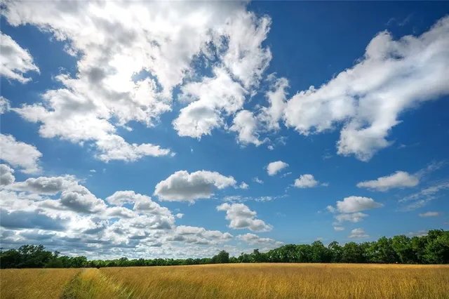 $637,000 | Tbd Southwest Tbd Sw 101st Road, Chilhowee, MO 64733