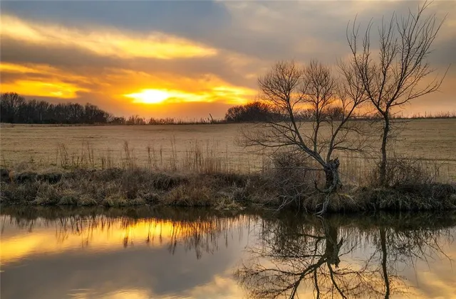 $637,000 | Tbd Southwest Tbd Sw 101st Road, Chilhowee, MO 64733