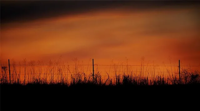 $637,000 | Tbd Southwest Tbd Sw 101st Road, Chilhowee, MO 64733